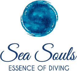 seasouls_Logo